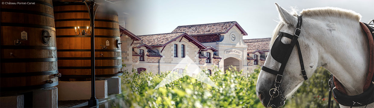 Château Pontet-Canet