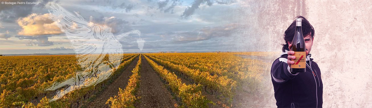 Bodegas Pedro Escudero